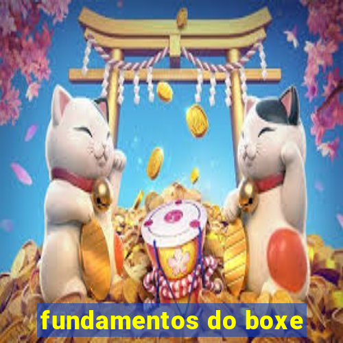 fundamentos do boxe